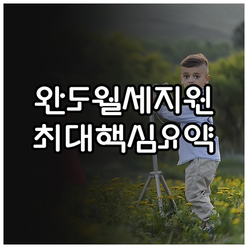 2026년 완도군 청년 월세 지원 소득 기준 및 제외 대상