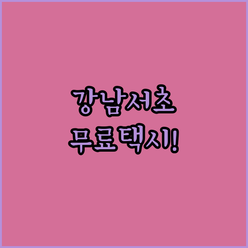 강남구 서초구 심야 자율주행 택시 운행 시간과 무료 혜택