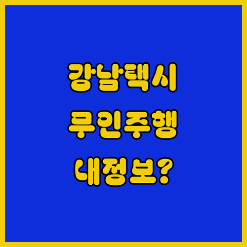 강남 자율주행 택시 개인정보 수집 범위와 보안 대책