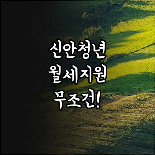 2026년 신안군 청년 월세 지원 신청 자격 및 소득 기준 정리