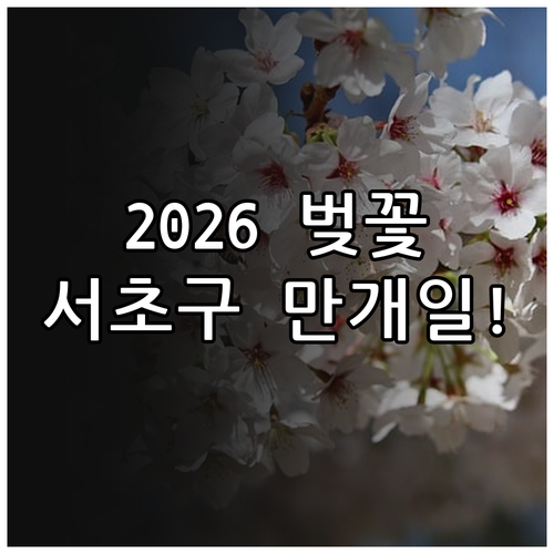 2026년 서울 벚꽃 예상 시기 | 서초구 지역별 상세 만개일 정보