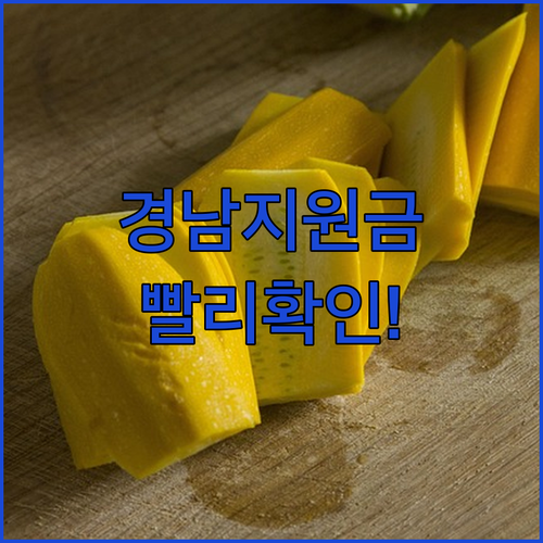 경상남도 생활지원금 대상자 확인 및 대리 신청 방법