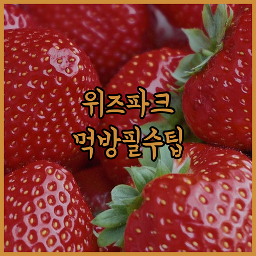 2026 수원 KT 위즈파크 먹거리 종류와 관람객 필수 팁