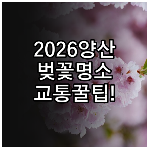 2026 양산 벚꽃 나들이 명소와 실시간 교통 정보 안내