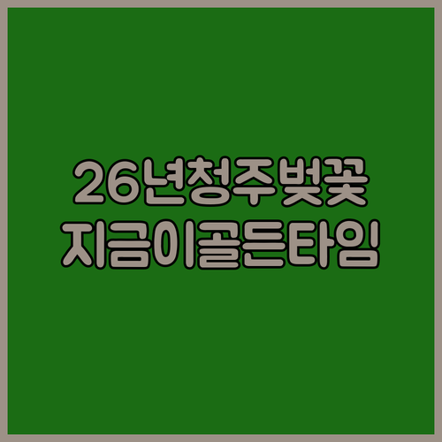 2026년 청주 청원구 벚꽃 개화 시기 및 명소 정리