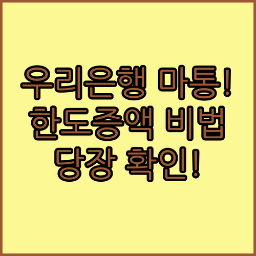 우리은행 마이너스통장 효율적인 한도 관리와 증액 성공 전략