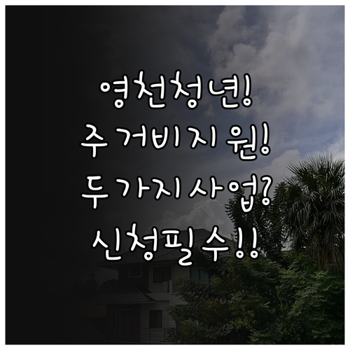 영천시 청년 주거비 지원 두 가지 사업 신청 요건