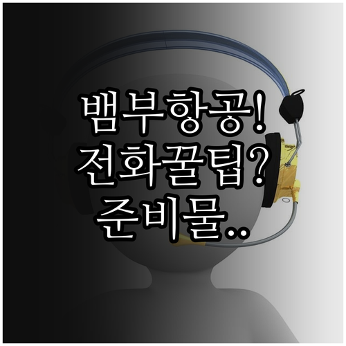 한국에서 뱀부항공 고객센터 전화하는 법과 준비물