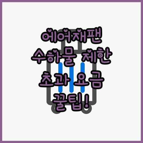 에어재팬 위탁수하물 크기 제한과 초과 비용