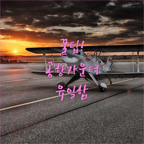 스카이 앙코르 항공 좌석 선택 | 공항 카운터가 유일한 방법