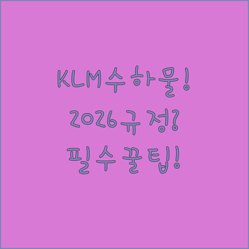 2026년 4월 KLM 수하물 규정 완벽 정리 | 요금제별 위탁 및 기내 수하물