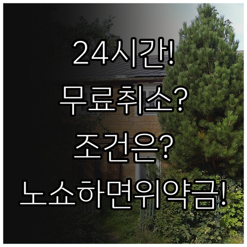 상하이항공 24시간 무료 취소 조건과 노쇼 위약금 확인하기