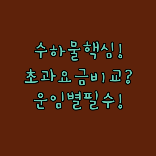 파라타항공 수하물 총정리 | 운임별 허용량과 초과 요금 비교