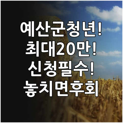 2026 예산군 청년월세 최대 20만원 지원 신청 방법