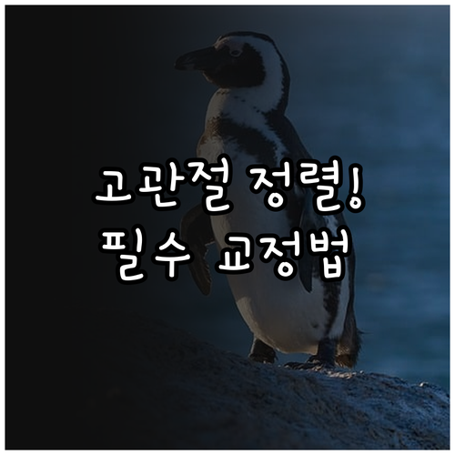 image 01ac7266
