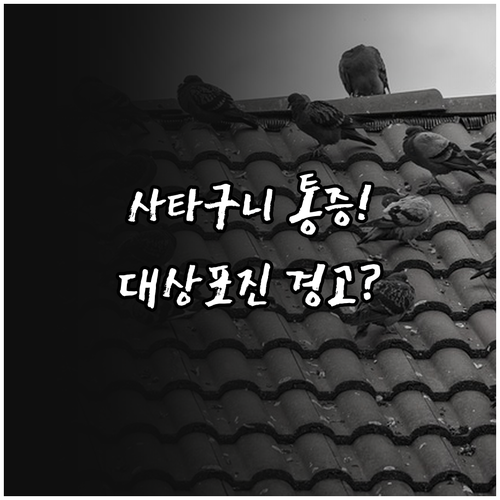 사타구니 통증과 수포 원인인 대상포진 주요 증상 정리