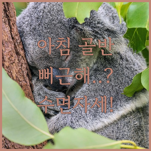 아침마다 골반 주변이 뻐근할 때 점검해야 할 수면 자세