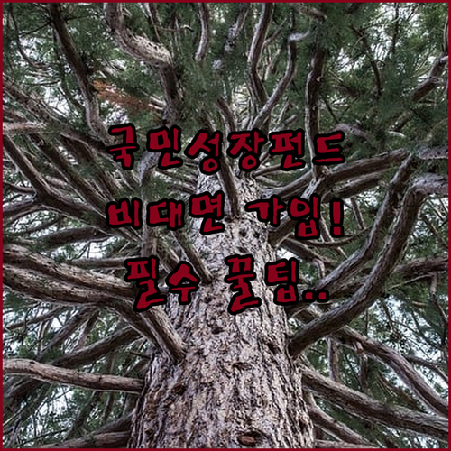 image a55660cb