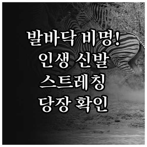 image c5c8f5ed