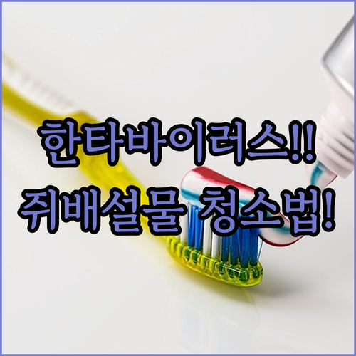 image e888e540