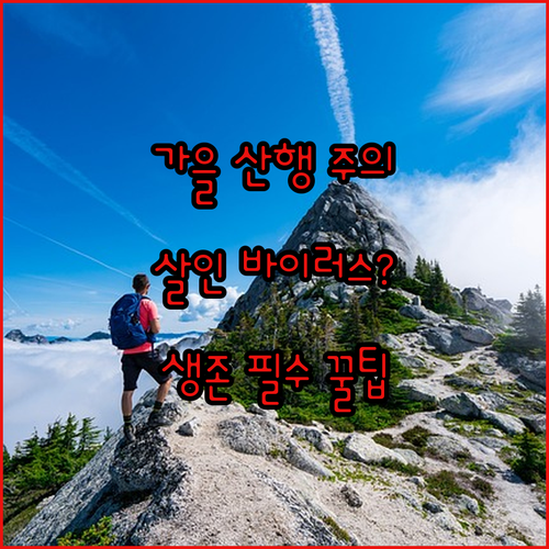 image fe3cc2b2