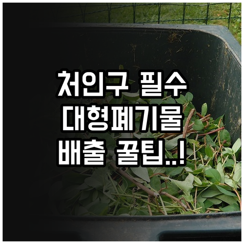 image fe93c308