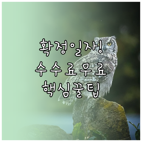 확정일자 신청 수수료 주택임대차 신고로 무료 적용받는 방법