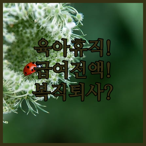 육아휴직 급여 실시간 전액 지급 변경과 복직 후 퇴사 규정