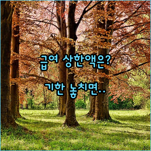 육아휴직 나눠 쓸 때 급여 상한액과 신청 기한