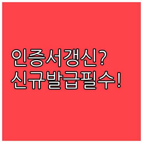 공동인증서 갱신이 안 될 때 신규 발급 확인사항