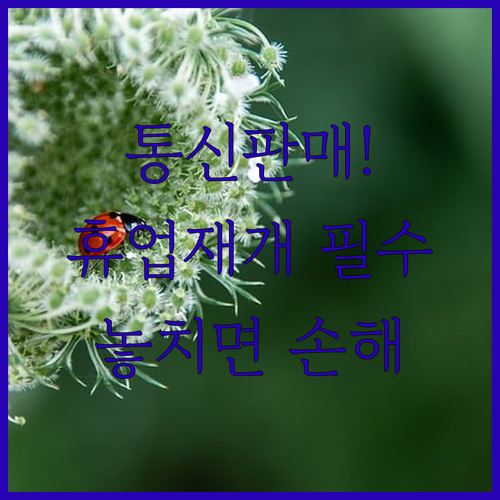 통신판매업 휴업 신고 절차와 영업재개 시 주의사항