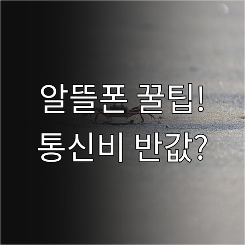 알뜰폰 번호이동 주요 혜택과 통신비 절감 요금제 선택법