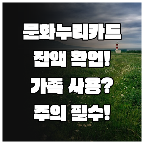 문화누리카드 잔액 확인 방법과 가족 간 사용 주의사항