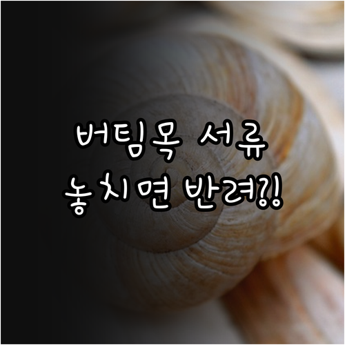 image 96d9318b